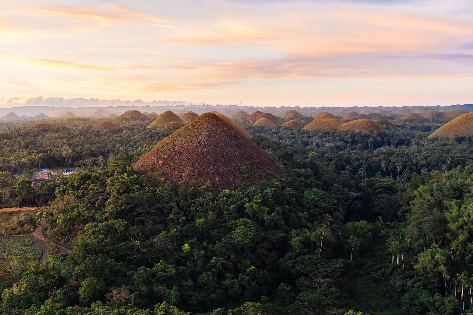 Bohol chocolate hills tarsier